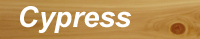 cypress example